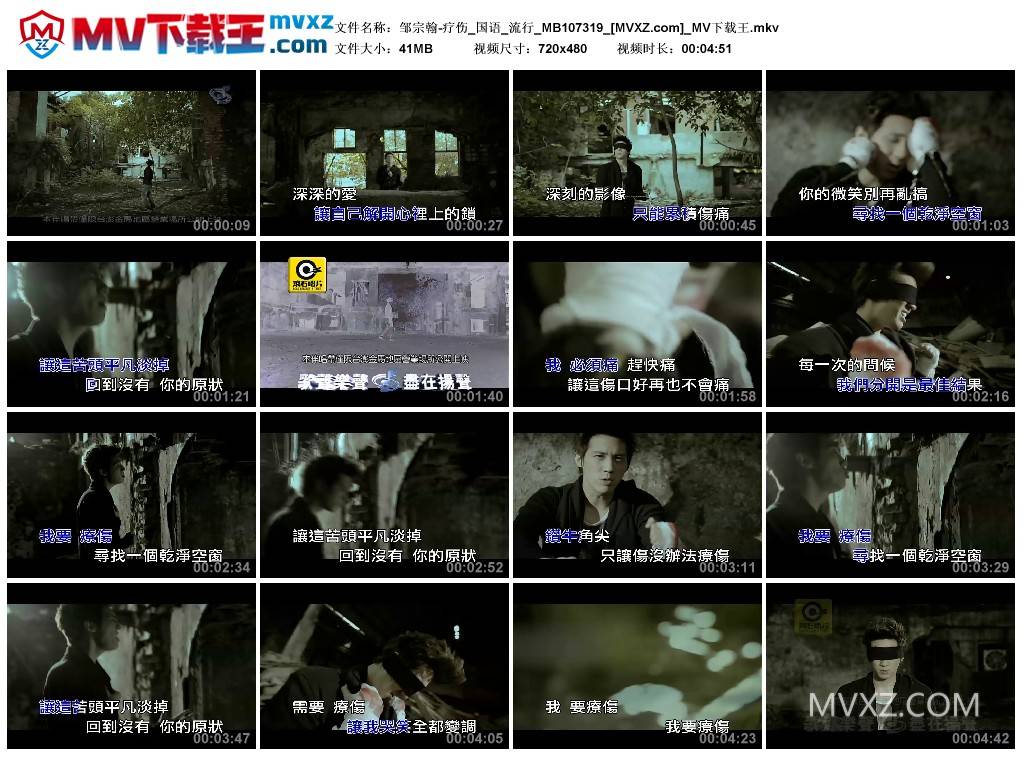 邹宗翰-疗伤_国语_流行_MB107319